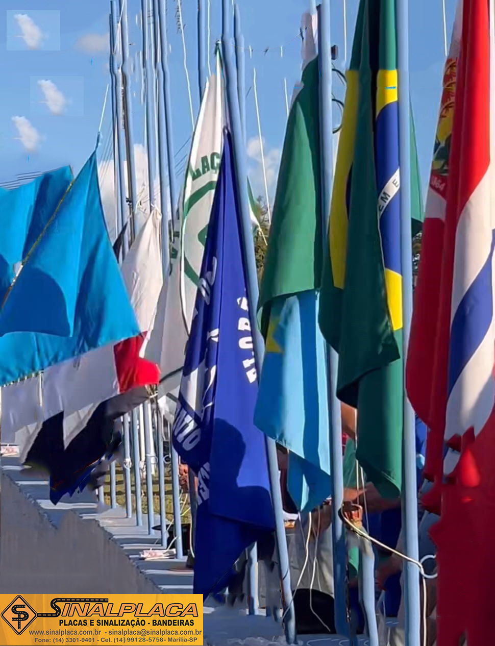 Bandeira Diversa